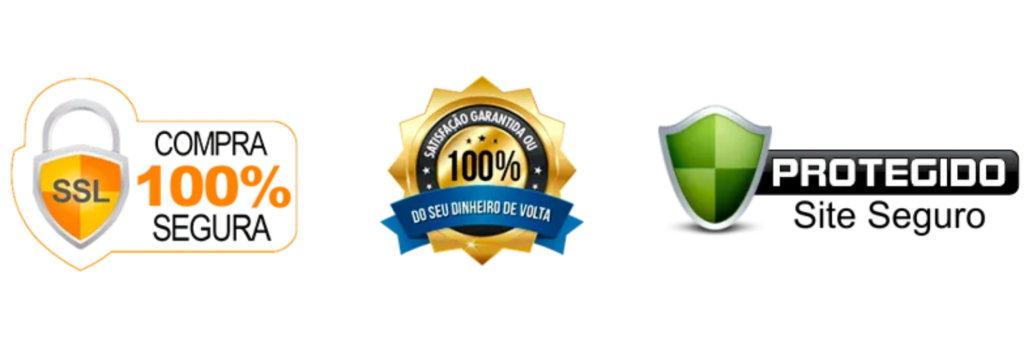 site-seguro-1-1024x341